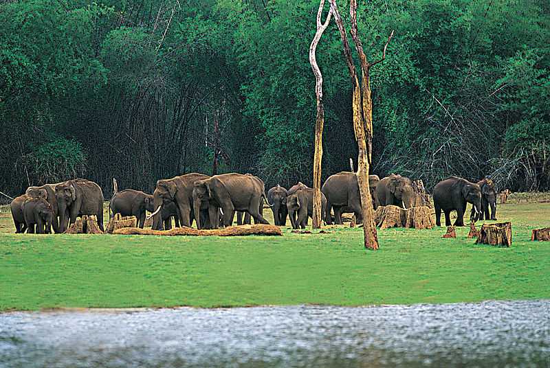 Book-Trichy-To-Thekkady-Tour-Package